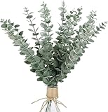 RNXSIB Eukalyptus Deko - 20 Stück Trockenblumen Eukalyptus Zweige für Hochzeit...