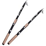 Zite Fishing Angelruten Set | 2 Stück Teleskop-Rute 2,70m 30-80g | Spinnrute...