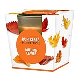 pajoma® Duftkerze, Autumn Leaves - im satinierten Glas | 120g Wachsgewicht,...