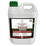 GREEN GOF Ackerschachtelhalm-Sud, Fungizid, Biostimulans, 5L. Konzentrierter...