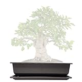 Genki-Bonsai Bonsaischale aus Kunststoff (40cm x 30cm x 10cm) - Rechteckiger...
