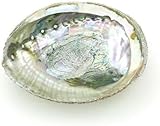 1 x Bunte Abalone-Schale, 10,2-11,4 cm, natürliche Verschmierschale für...
