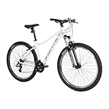 ATTABO Damen Fahrrad Alpe 1.0 mit Aluminiumrahmen 15' Ergonomischer Lenker...