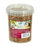 Dehner Natura Premium Wildvogelfutter, Wildvogelsnack, getrocknete Mehlwürmer,...