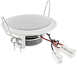 ChiliTec Einbaulautsprecher Deckenlautsprecher 45W flach Einbau Decke Wand Rund...