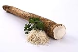 Meerrettich | Kren | Horseradish - Frische Stangenware (naturbelassen, 250 - 300...