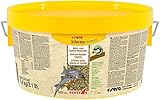 sera Viformo Nature 1,4 kg | Nahrhaftes Tablettenfutter für Welse | Wels- &...
