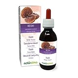 Glänzende Lackporling oder Reishi (Ganoderma lucidum) Pilz Alkoholfreier Urtinktur Naturalma - Flüssig-Extrakt Tropfen 120 ml - Nahrungsergänzungsmittel - Veganer