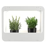 Romberg Homegarden mit LED-Beleuchtung | Zimmergewächshaus | Minigewächshaus |...