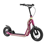 STAR SCOOTER Kinder Tret Roller ab 6-7 Jahre | 12/10 Zoll Mixed City Kick...