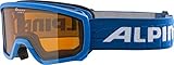 ALPINA SCARABEO JR. - Beschlagfreie, Extrem Robuste & Bruchsichere OTG Skibrille...