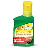 Neudorff Azet Zitrus- & Mediterran PflanzenDünger – 100% natürlicher Bio...