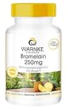 Bromelain Kapseln - 250mg Bromelain pro Kapsel - 100 Kapseln - 600 F.I.P -...