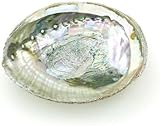 Bunte große Abalone-Schale, 10,2 - 11,4 cm, natürliche Verschmierschale zum...