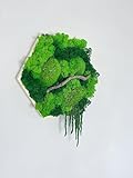 Island Ranke & Ast Moosbild Hexagon Sechseck Islandmoos & Ballenmoos...