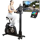 Skandika Liege-Ergometer/Ergometer Cykling P14 | Heimtrainer Fahrrad mit...