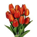 N&T NIETING Künstliche Tulpen Blumen, 12 Stück Fake Tulpen PU Latex Touch...