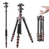 K&F Concept 152cm Carbon Stativ, Leichtes Tripod, Flexibles Kamera Stativ mit...