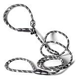 rootsnoot Retrieverleine – 190 cm lang, 0,8 cm stark, für kleine Hunde bis 5...