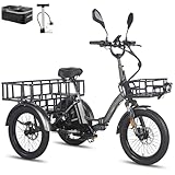 Fafrees F20 Mate Klapprad E Bike Dreirad für Erwachsene 20 Zoll [ Offiziell ]...