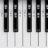 BELFORT Klavier + Keyboard Noten-Aufkleber für 49 | 61 | 76 | 88 Tasten + Ebook...