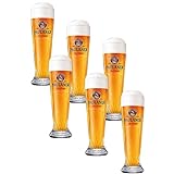 PAULANER BIER GLÄSER SET 6er 0,5 Liter NEU WEIZENBIER