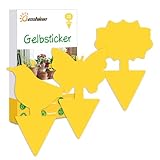 Beshine Gelbsticker, 30 Stück Gelbtafeln Trauermücken Bekämpfen klebriger...