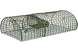 Kerbl cit Ratten-Massenfänger Alive MultiRat (L x B x H 40 x 24 x 18 cm,...