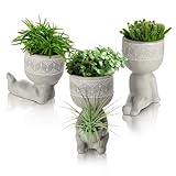 comforder – Blumentopf Set Beton, 3X Indoor & Outdoor Übertopf, Mini...