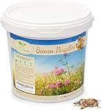 Magic of Nature Blumensamen Mischung - Bienen Paradies - 1kg - Kinderleichte...