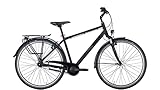 Pegasus Solero SL 8 28 Zoll Trekkingrad 8-Gang Rücktrittbremsnabe schwarz