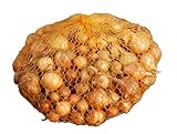 Steckzwiebeln Stuttgarter Riesen (500 g)