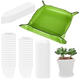 30 Stück Klare Anzuchttöpfe Mit Pflanzmatte, Untersetzer Blumentopf Eckig Mit...