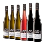 DIVINO Juventa Frankenwein Probierpaket - Silvaner, Grauer Burgunder, Scheurebe,...