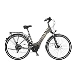 Fischer E-Bike City | CITA 6.0i Elektrofahrrad für Damen und Herren | RH 44 cm...