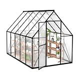 Froadp Gewächshaus aus Aluminium mit Fundament 280x180x195cm...