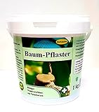 Schacht Baumpflaster 1 kg