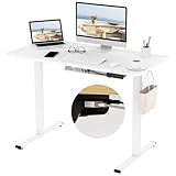 FLEXISPOT Höhenverstellbarer Schreibtisch Basic Plus 120x60cm -mit USB-C&A...