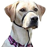 Premium Geschirr Hund - Erziehungshalsband liebevoll, Antizug- / no Pull...