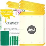 Blooven Gelbsticker 60 Stück, Trauermücken Bekämpfen, Gelbtafeln...