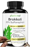 20% Sulforaphan! 360 Sulforaphan Kapseln hochdosiert aus Brokkoli-Extrakt mit...