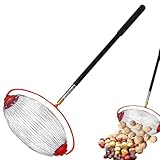 Walnuss Sammler Nusssammler Rollsammler Harvester,Haselnuss der...