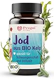 Bio Jod Tabletten - für Schwangerschaft & Stillzeit - 150 µg pro Kapsel - 100%...