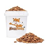 Aprikosenkerne bitter 1,5kg bittere ganze Aprikosenkerne ungesalzen ungeröstet...