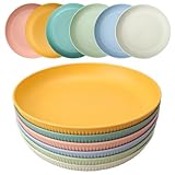 HQCM 6 Stück Wiederverwendbar Plastikteller, 23cm Groß Campingteller...