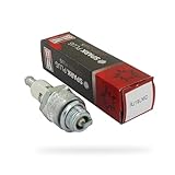 Champion Zündkerze RJ19LMC – langlebig & zuverlässig – hohe Qualität –...