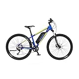 FISCHER E-Mountainbike MONTIS 2.1, Junior Elektrofahrrad für Damen und Herren,...