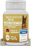 Gelenktabletten Hunde – Test SEHR GUT Made in Germany mit Grünlippmuschel,...