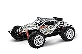 Carrera RC I Passion Impact 20 I OffIRoad RC Buggy für Outdoor Abenteuer I...