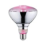 Paulmann 28737 LED Lampe Pflanzenlicht 6,5W Leuchtmittel Wachstumslicht...